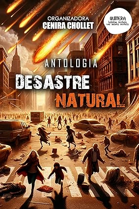 Desastre natural 